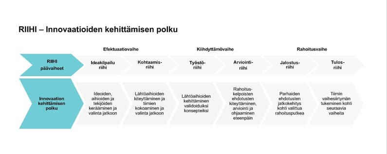 RIIHI-konsepti-ja-kehittämispolkukuva